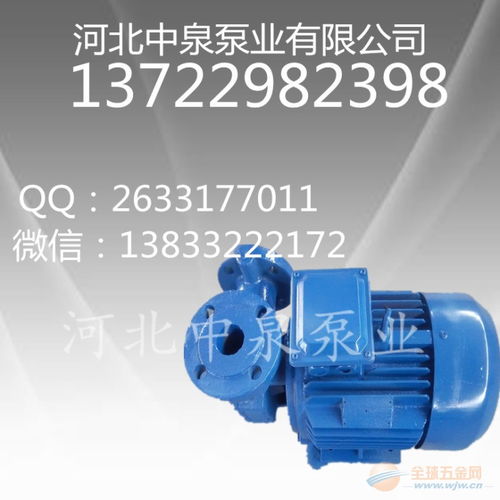 叶片漩涡泵古交65w 50漩涡泵